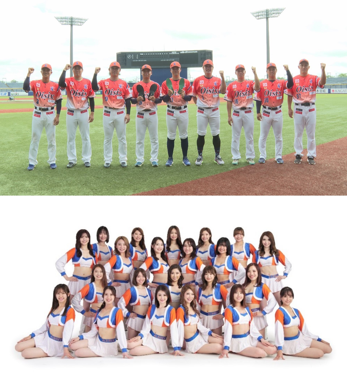 プロスポーツチームとの提携