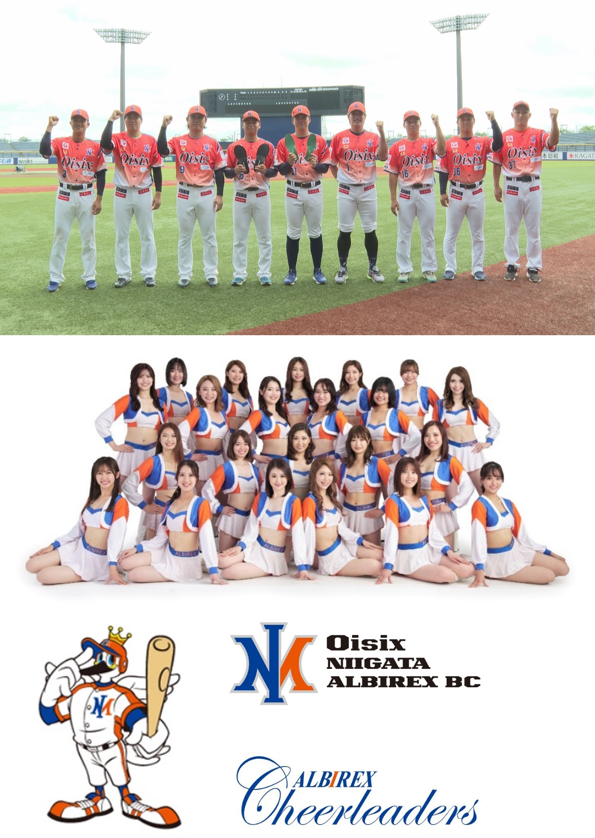 プロスポーツチームとの提携